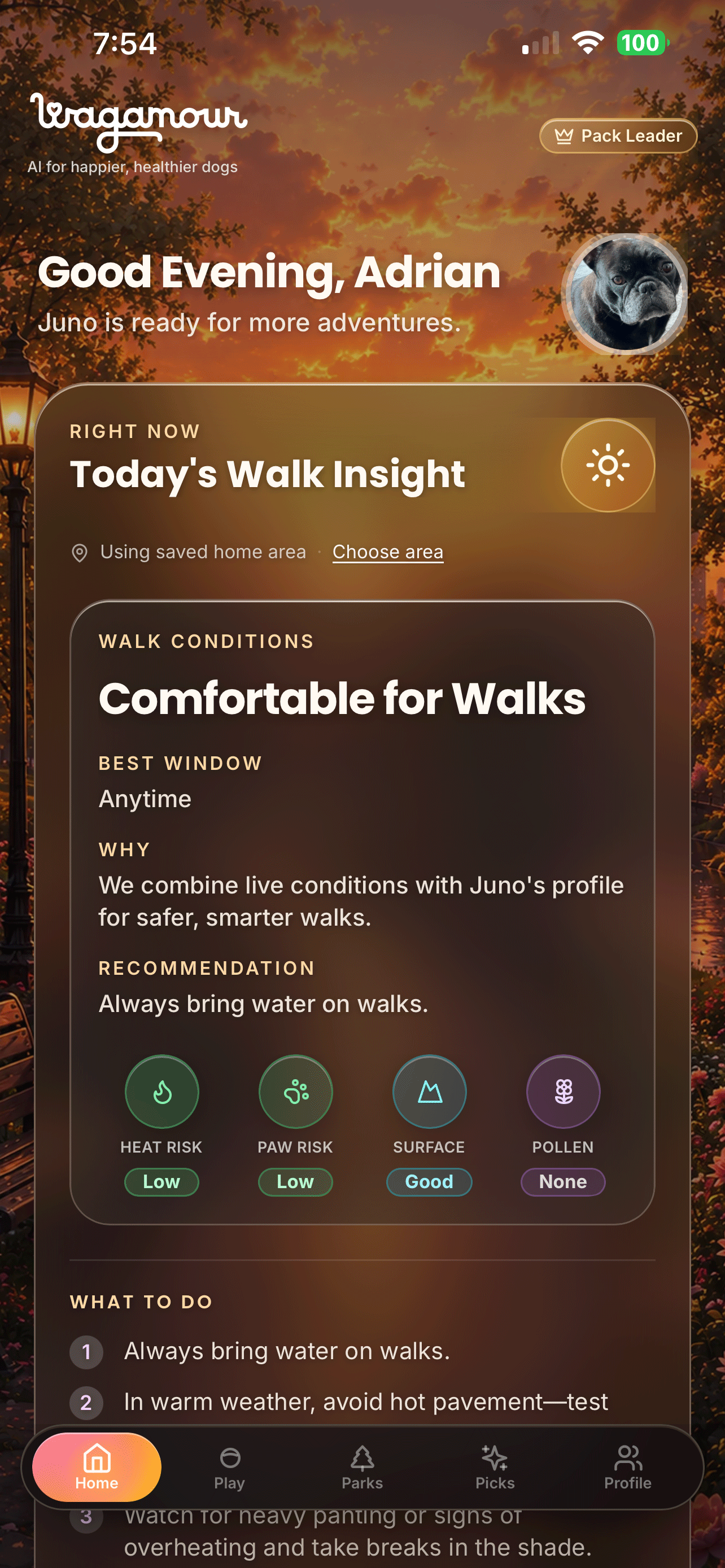 Wagamour Home: Today’s Walk Insight with heat, paw, and surface details